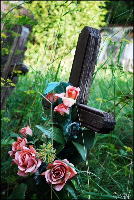 I don't want to be buried..