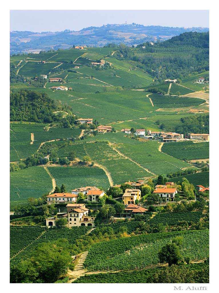 Langhe, terre da vino.