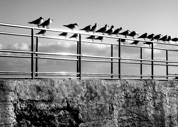 Prima  fila...esaurita