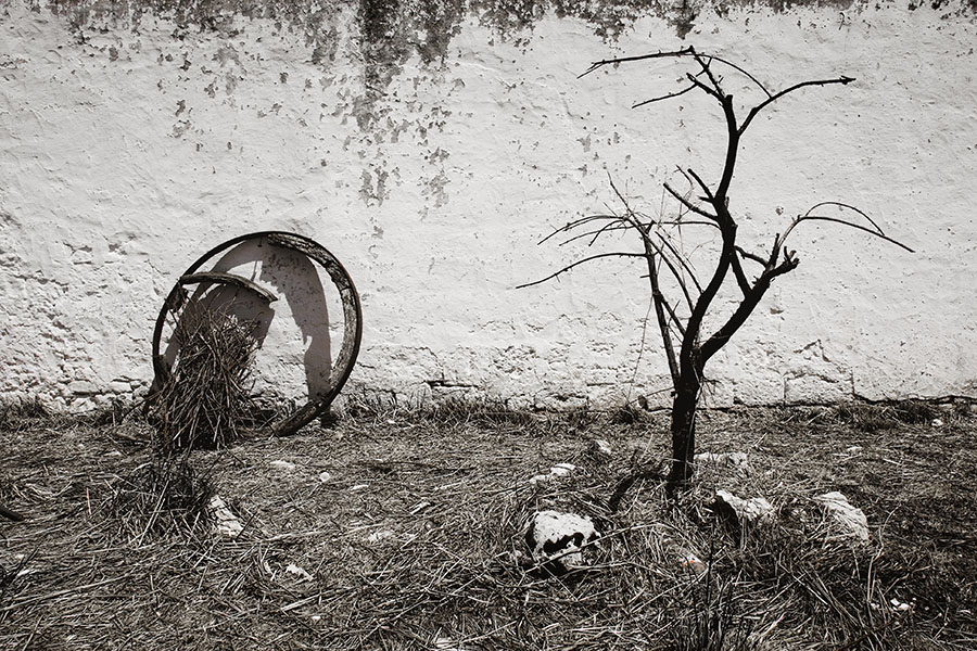 Non ragioniam di lor, ma guarda e passa