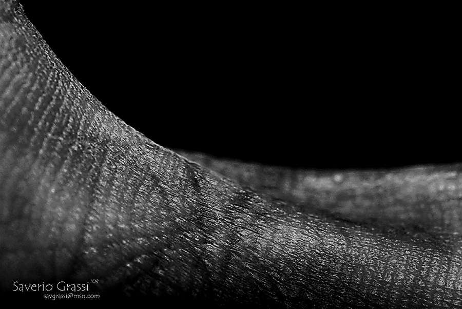 The lines of my life