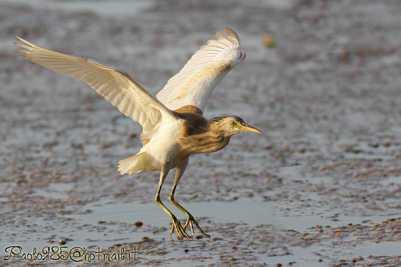 in atterraggioooooooo !!!