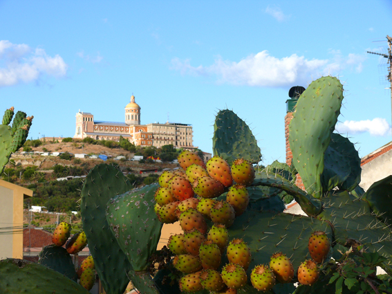 Scorcio Santuario Tindari - Patti (ME)