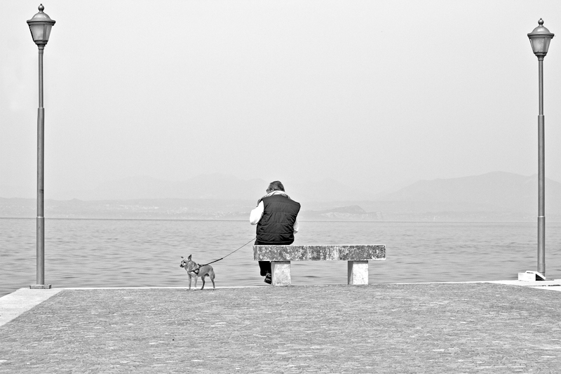 solitudine in cornice