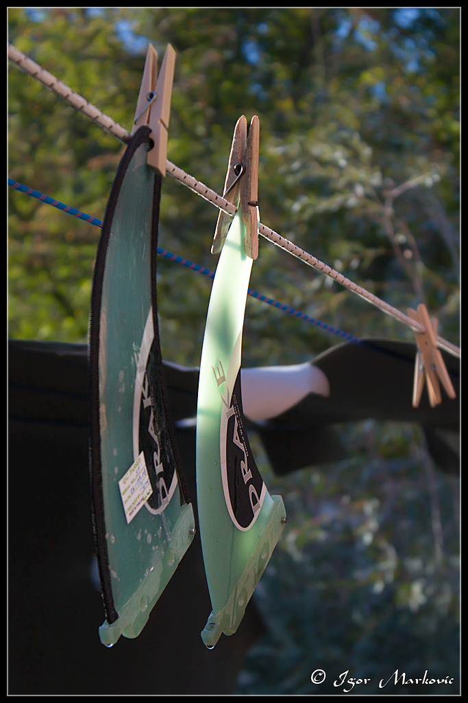 Cose dell'altro surf...