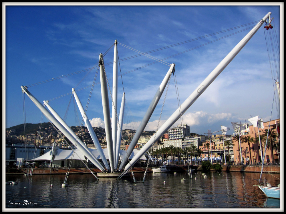 Cartolina da Genova