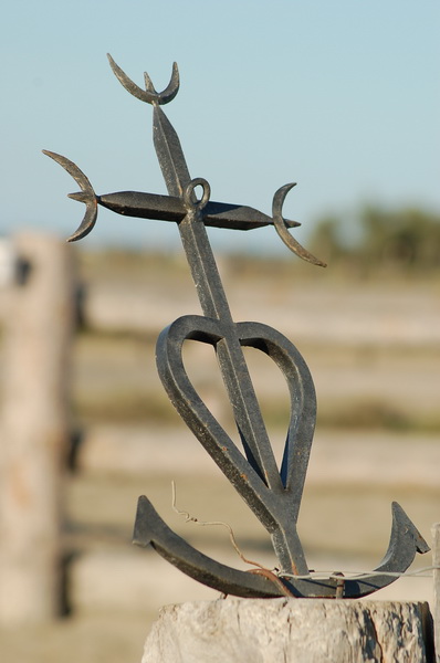 Camargue Francia