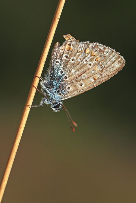 ultimi giorni d'estate