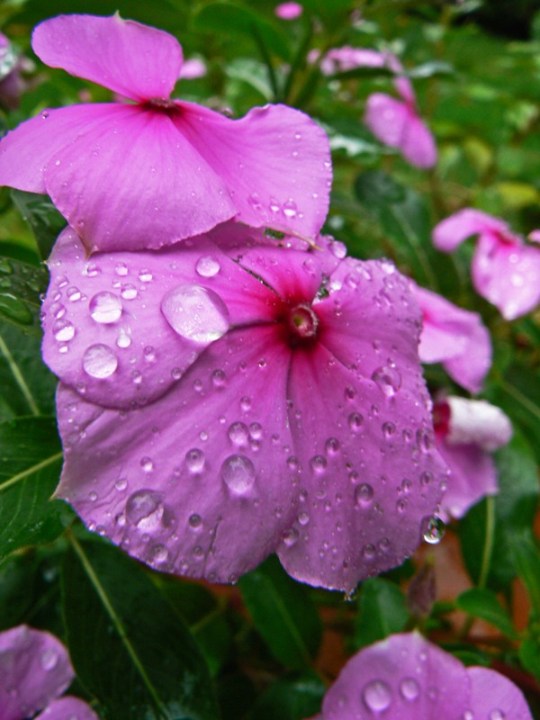 quiete dopo la tempesta...
