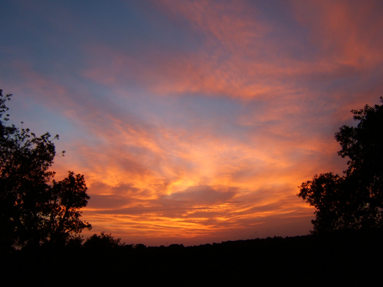 e il cielo si color� lentamente come un pittore dipinge sulla tela