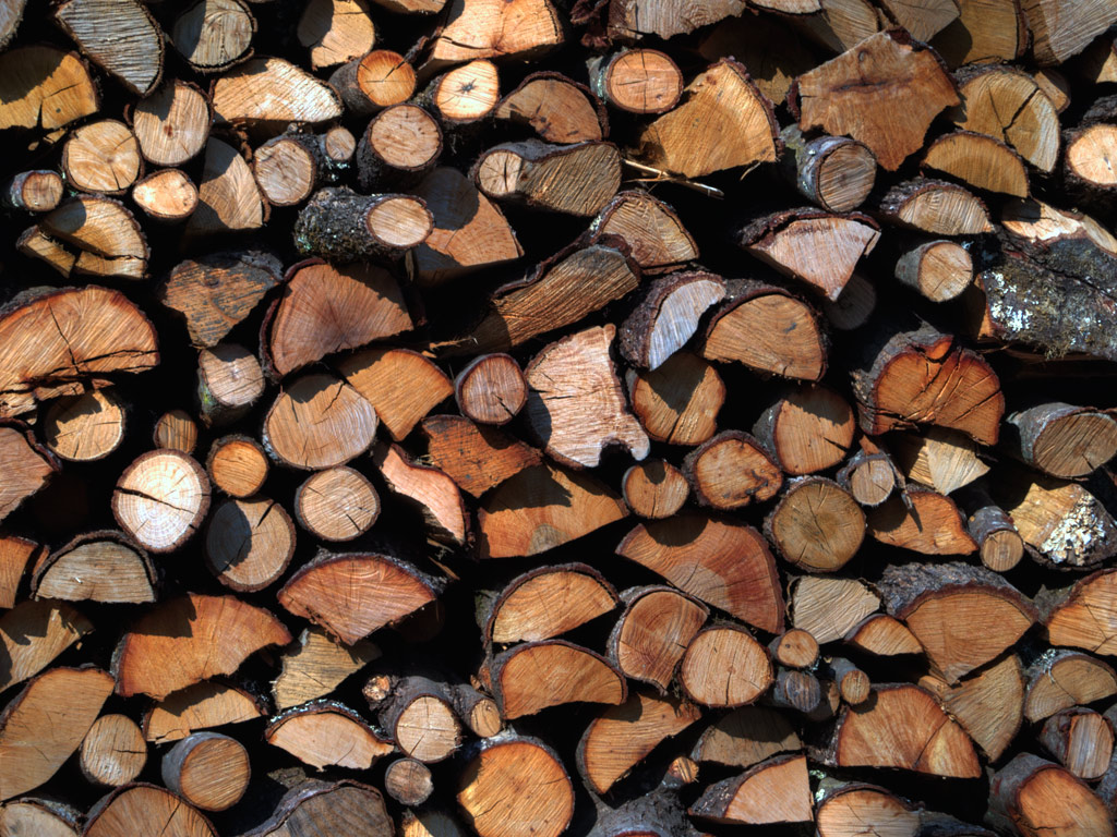 l'inverno si avvicina