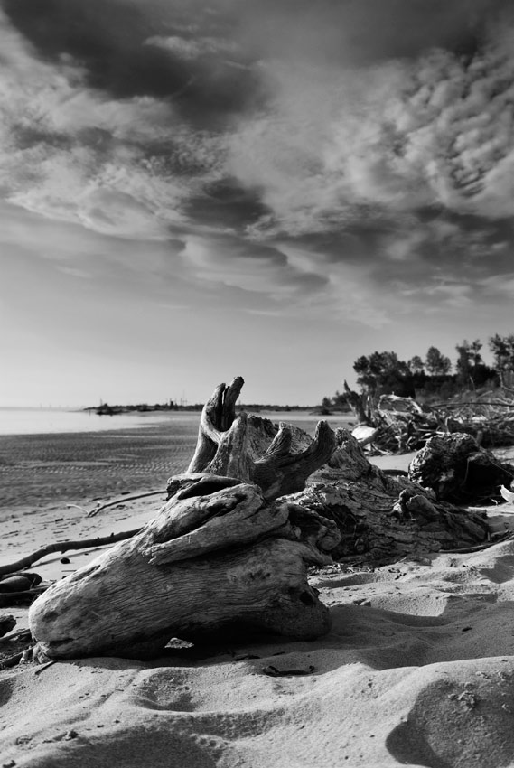 passeggiando sulla riva del fiume