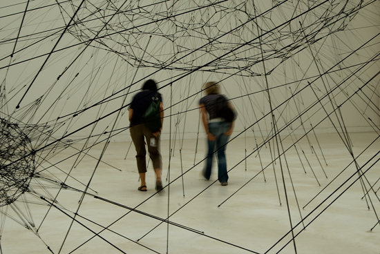 biennale 2009