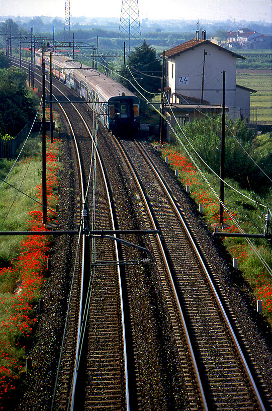 Attraverso la primavera