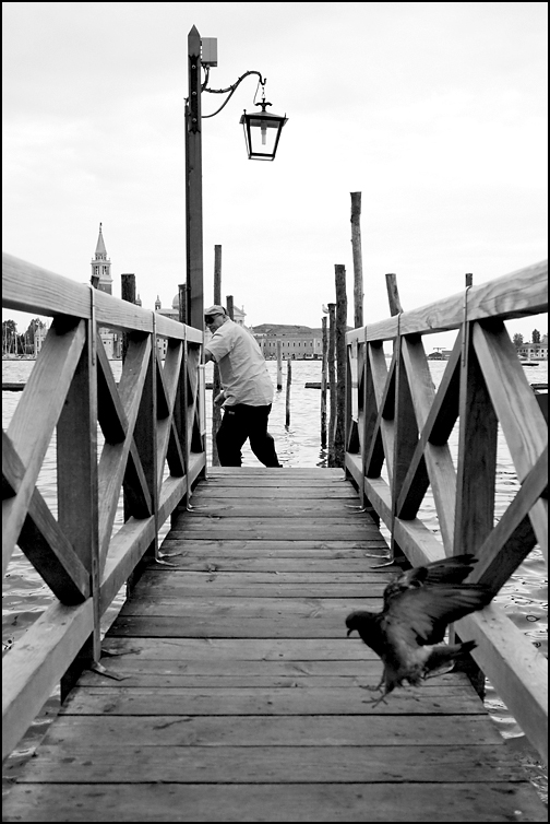 Venezia, 12-09-09 (2)