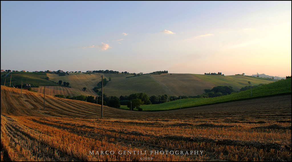 Le Marche d'agosto
