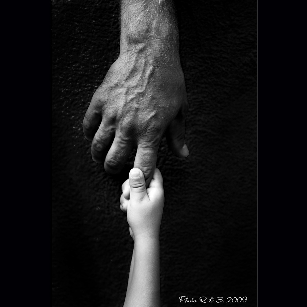 Quel tenero legame vitale....