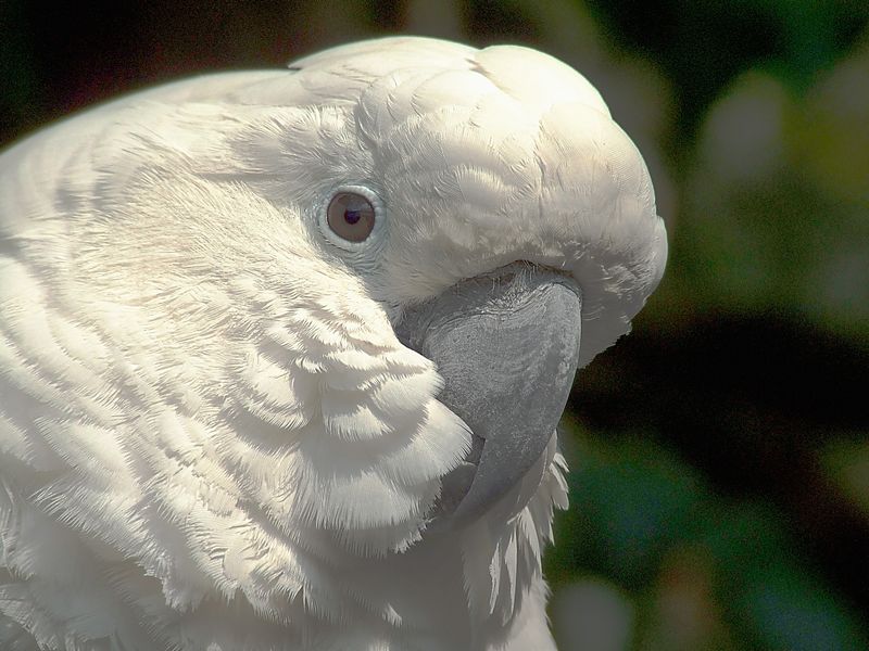 C'e per caso qualcosa che non va?