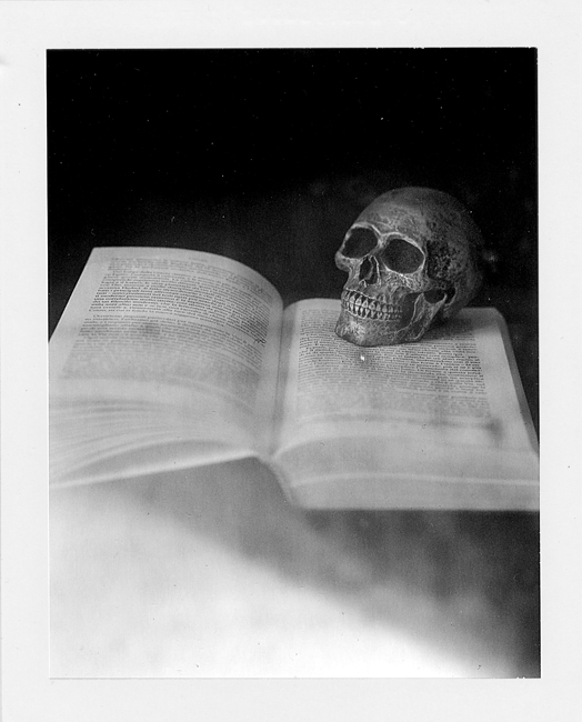 Libro e teschio in polaroid