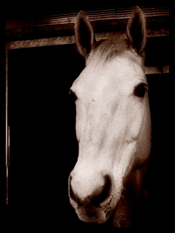 ...OnEiric viSion...