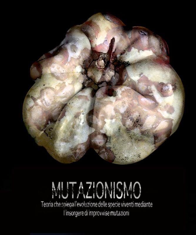MuTaZiOnIsMo