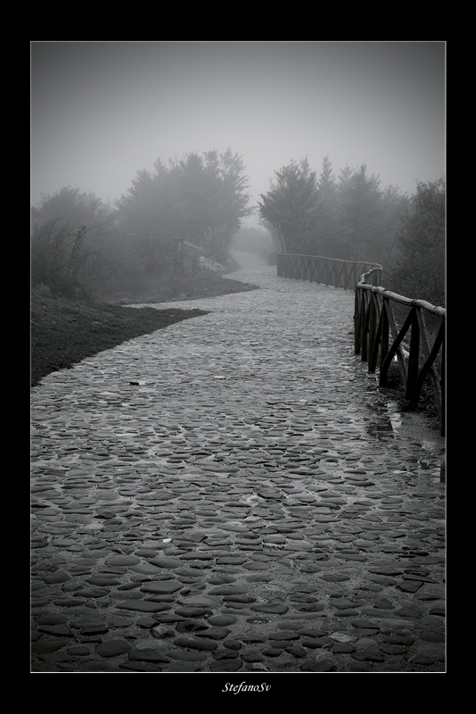 Dove andremo a finire?