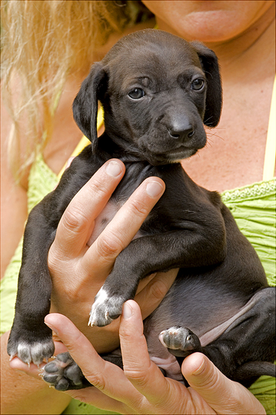 ofelia ha 25 giorni...