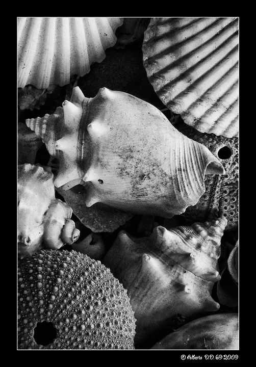 ...ricordi di una casa...