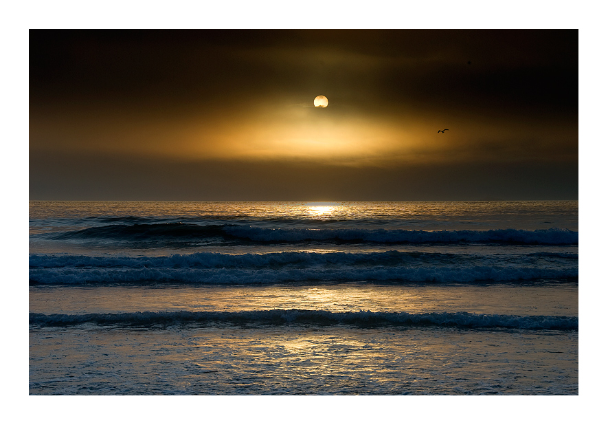 Flying in the sunset