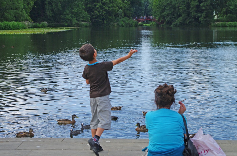 ... Aspettando che finiscano le briciole....