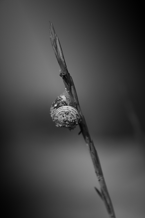 The other world_Rise