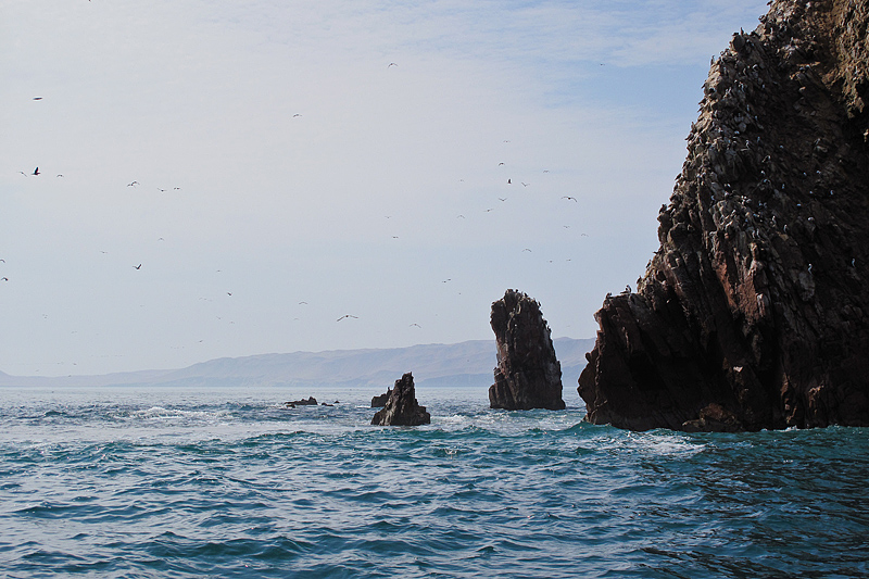 Isole Ballestas - Per�