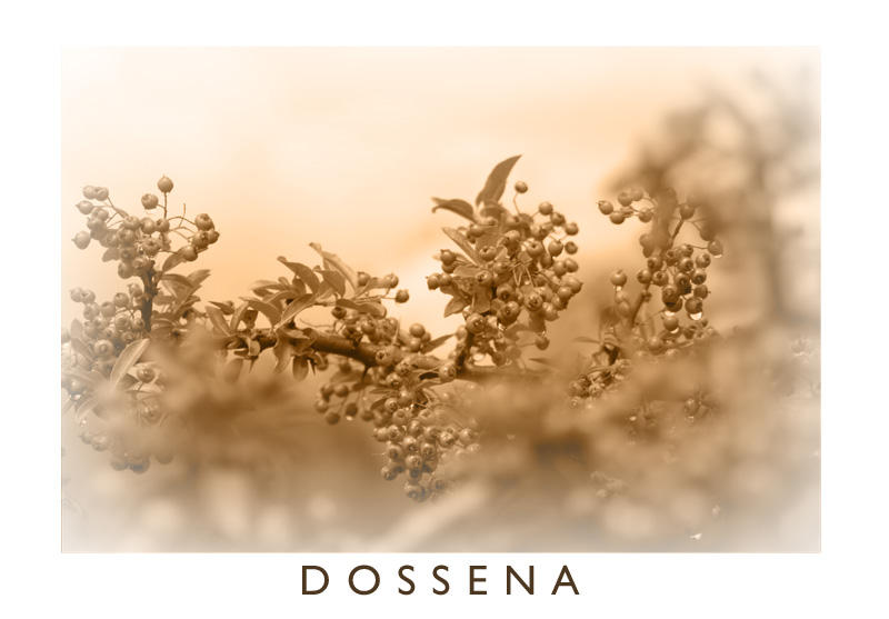 Cartolina Dossena