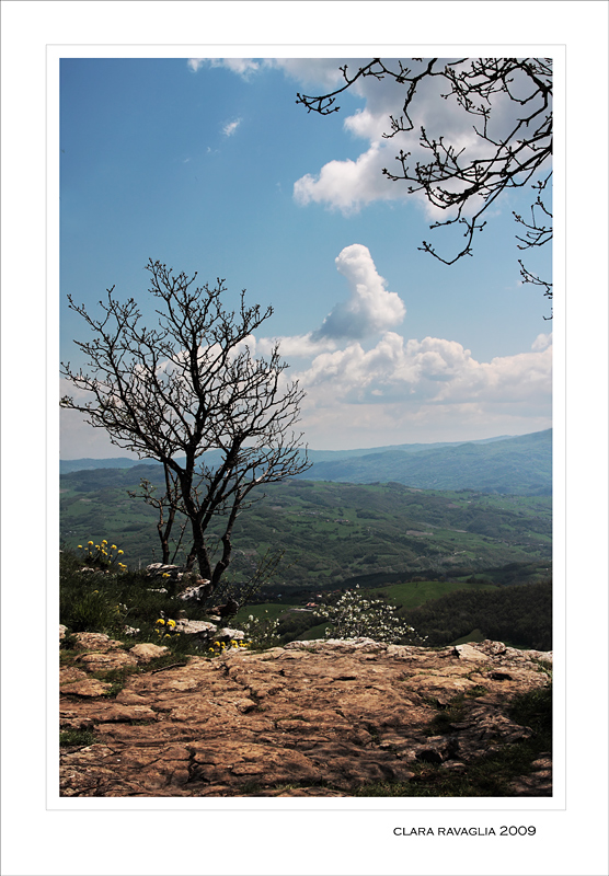 Serenit�.. in vetta (pietra di  Bismantova)