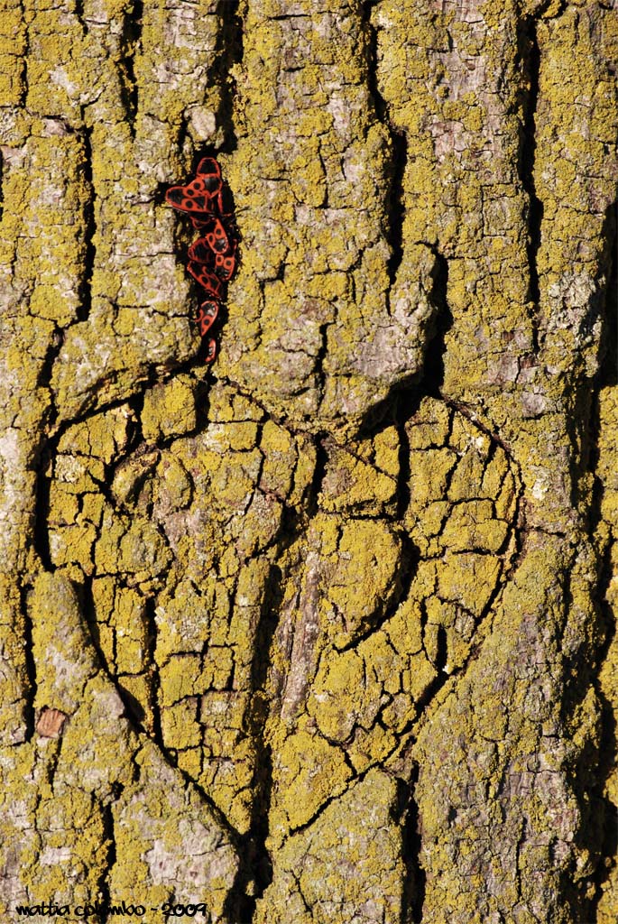 Scampagnata Autonnale