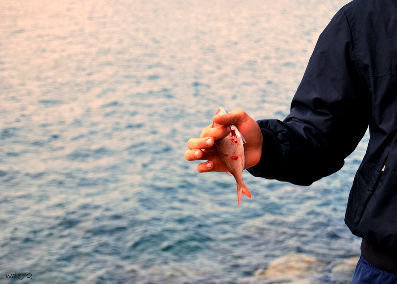 Il frutto della fatica