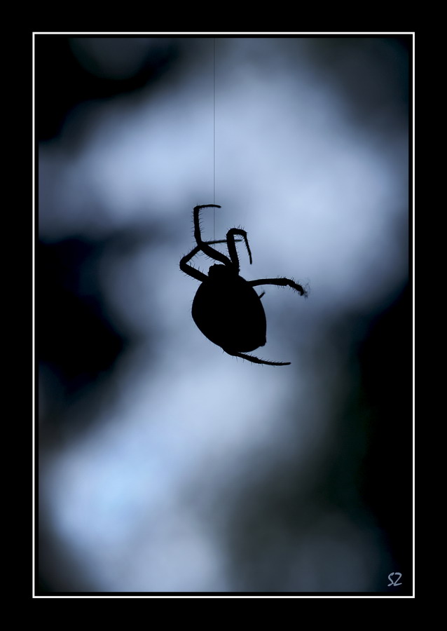 ---- Appeso a un filo ----