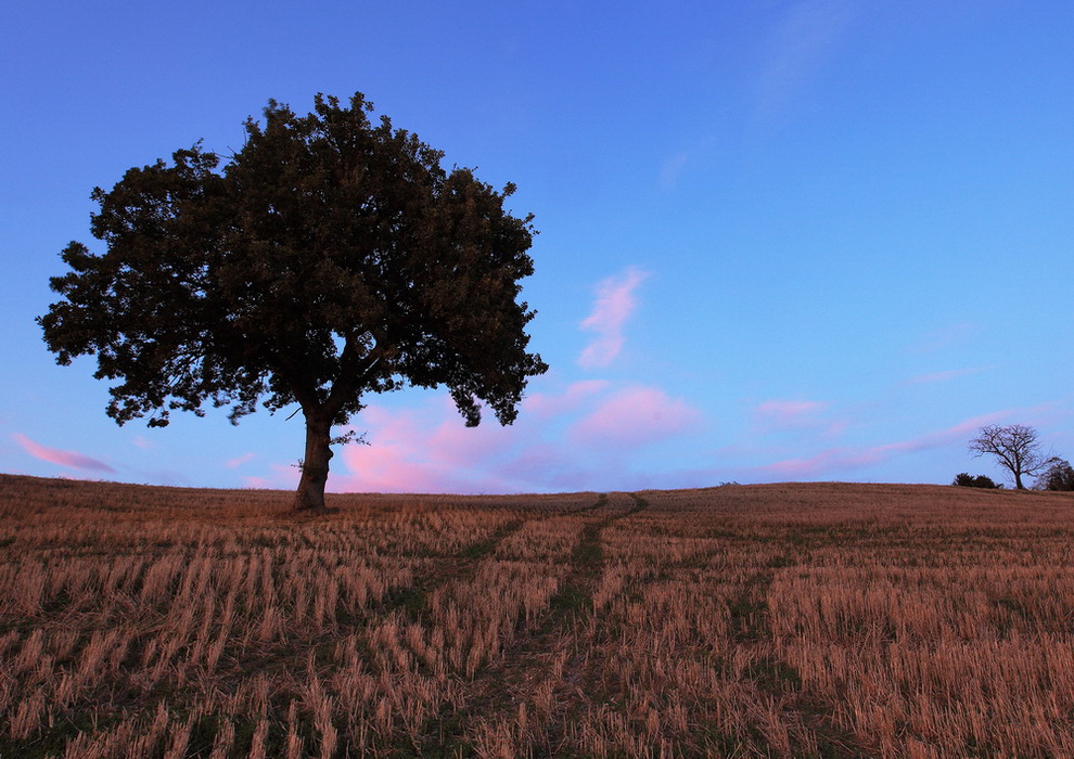 Crepuscolo in collina