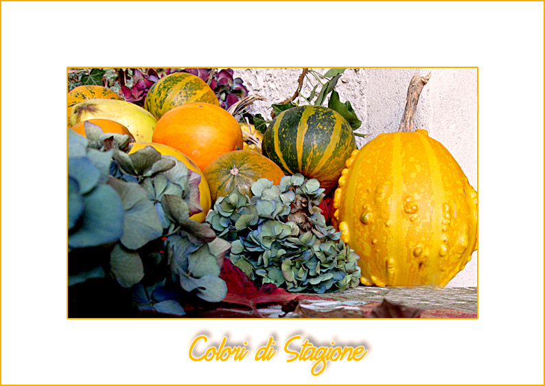 Colori di Stagione
