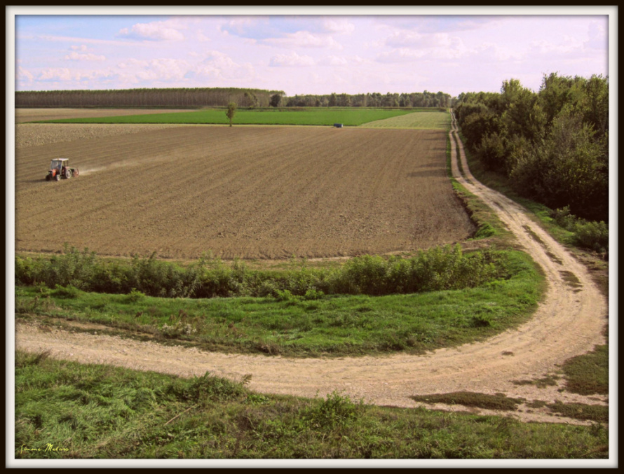 Domenica di met� Ottobre