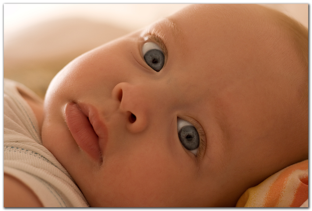 Il mio piccolo amore...