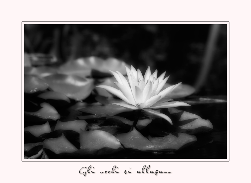 Gli occhi si allagano...