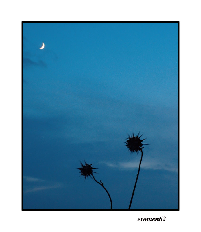 ...NOI DUE SOLI CON LA LUNA...