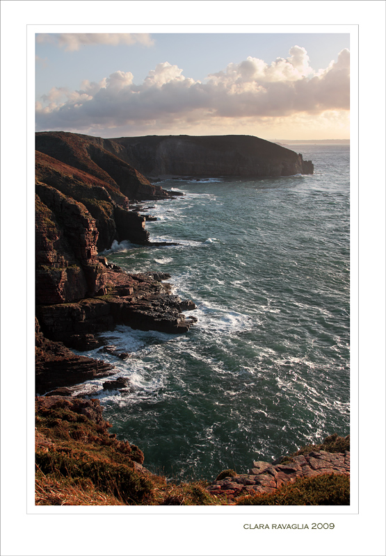 Urla e biancheggia...