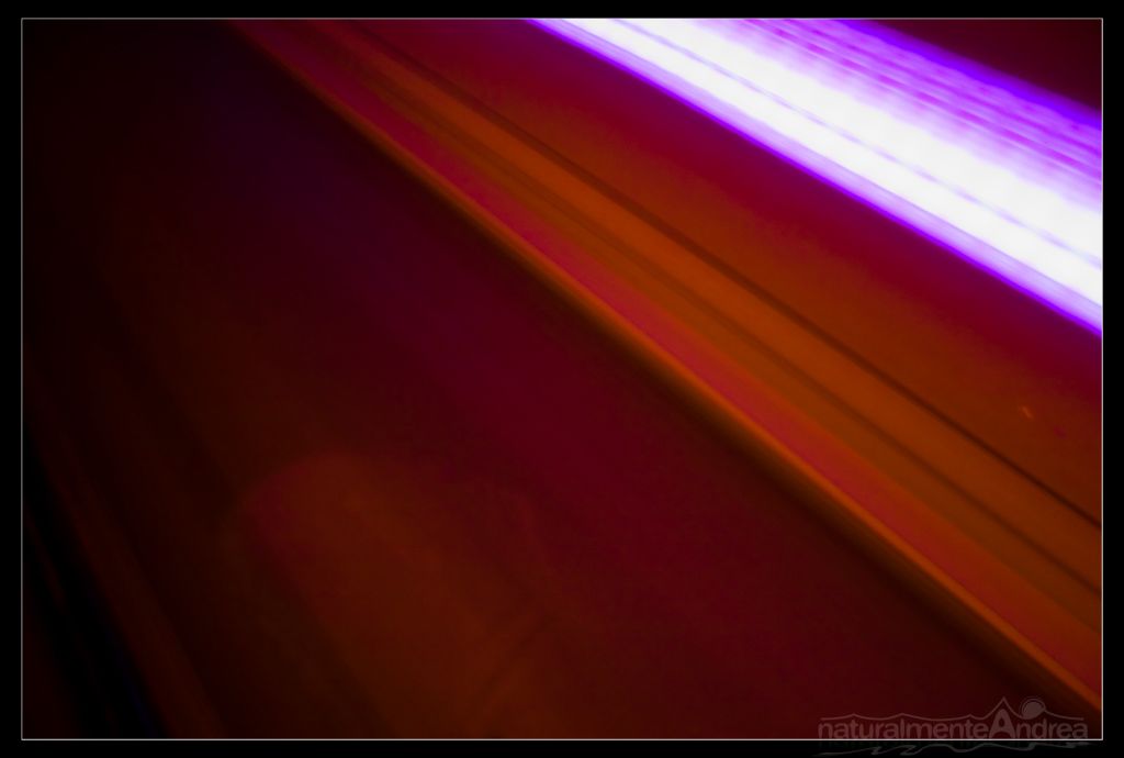 il viaggio con corpo e anima incollati