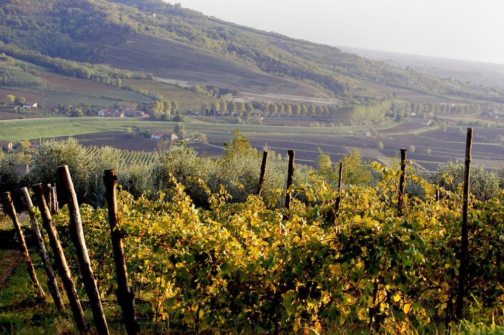 terra e aria dei Colli Euganei