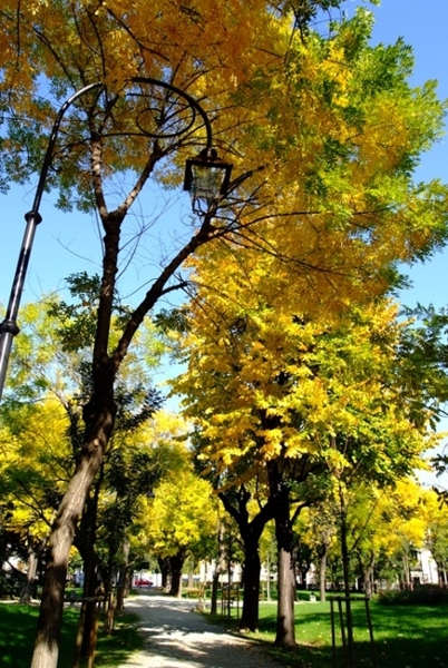 Il "nostro" Central Park