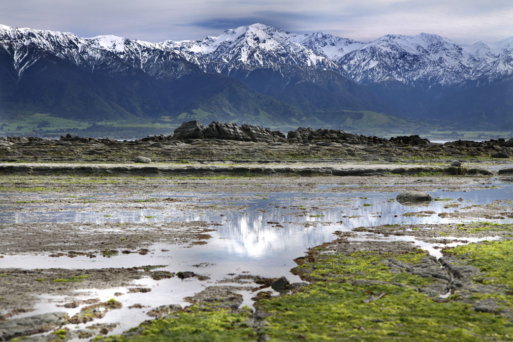 monti su kaikoura