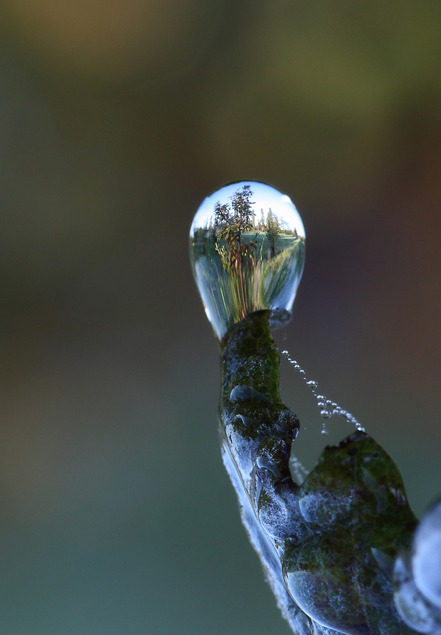 Dove c'� acqua c'� vita...