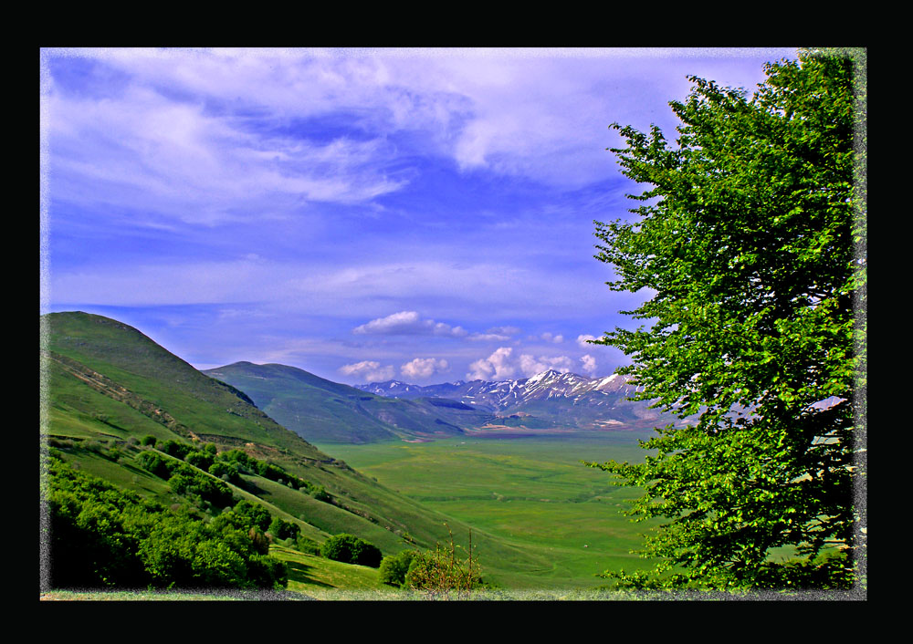 Immergersi nel verde..